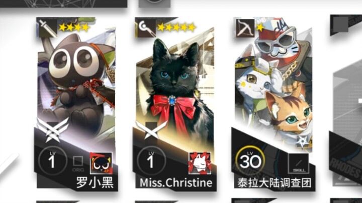 🐱This video only has cat meows🐱