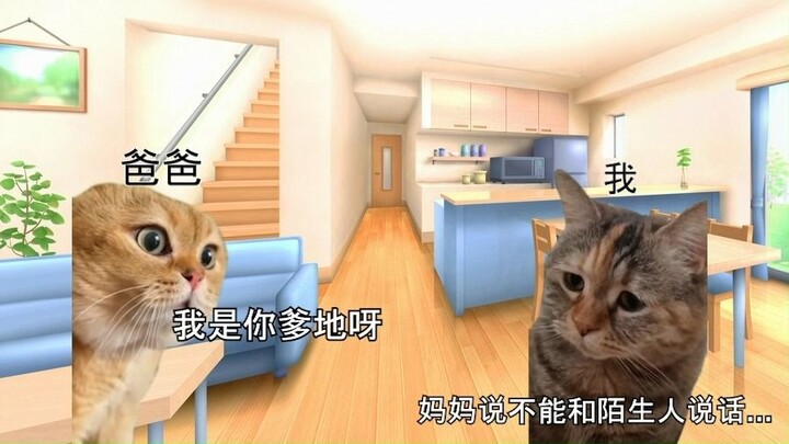 [Cat meme] Người cha bất hạnh và tôi bị mù mặt