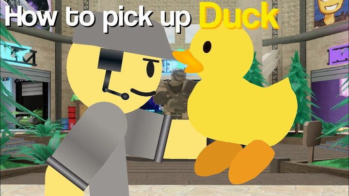 How To Pick Up A Duck: TDS Version (TDS Meme