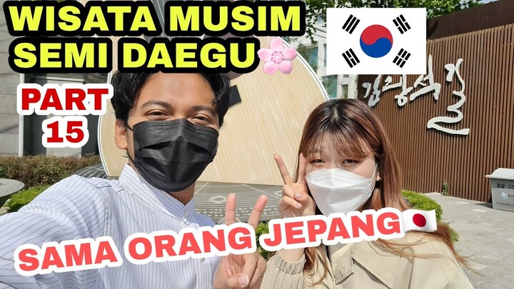 WISATA MUSIM SEMI DAEGU | Suseongmot, Kim Kwang-seok Gil, HaJungDo, Seomun Sijang 🌸🇰🇷🌸🇰🇷🌸🇰🇷