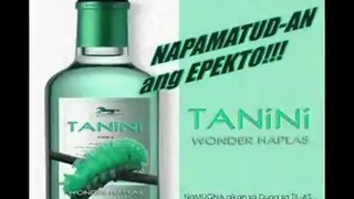 tanini wander haplas