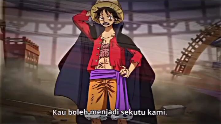 Zoro said (dasar bodoh) 😭