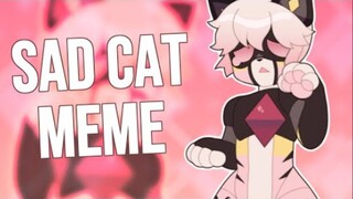 【meme动画】SAD CAT DANCE || MEME