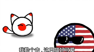 【波兰球】可爱的小猫