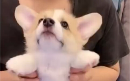 Wajib Ditonton Pria Gagah!