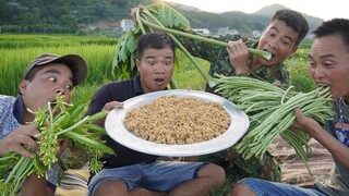 | Nhịp Sống Tây Bắc