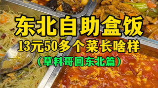 What does a Northeastern self-service lunch box with more than 50 dishes for 13 yuan look like?