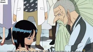 [Hồ sơ nhân vật]. Nico Robin_ Chiếc chìa khóa sống để tìm ra Onepiece- 2