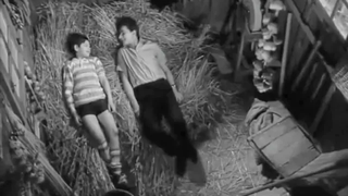 ภาพยนตร์ตัวอย่าง BL PRANCIS - มิตรภาพพิเศษ 1964 18+ ลิงค์คำอธิบาย