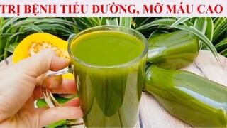 Cân bằng ĐƯỜNG HUYẾT  trị bệnh TIỂU ĐƯỜNG, GIẢM MỠ MÁU bằng PHƯƠNG PHÁP TỰ NHIÊN rất HIỆU QUẢ