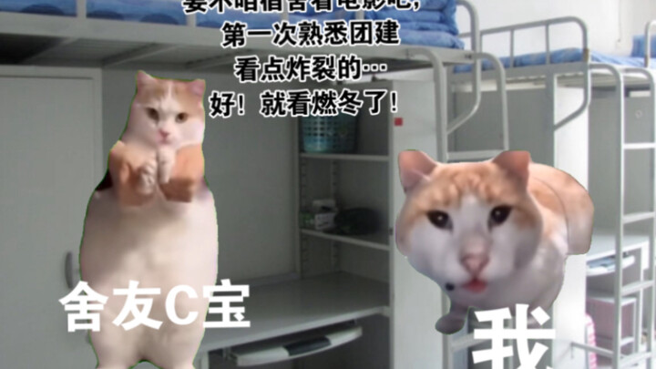 【猫meme】关于宿舍第一次团建是集体看燃冬这件事