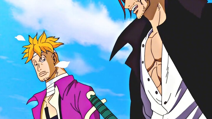 《One Piece》Marco hẳn sẽ không gia nhập bất kỳ băng hải tặc nào nữa