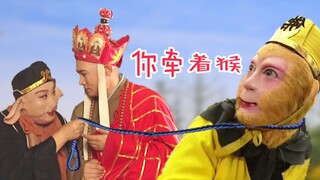 唐师父的安全养猴须知
