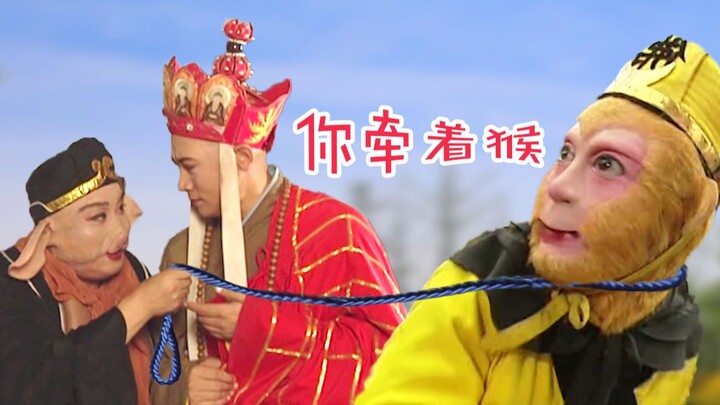 Master Tang's Tips for Raising Monkeys Safely