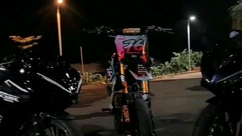 bisa kali