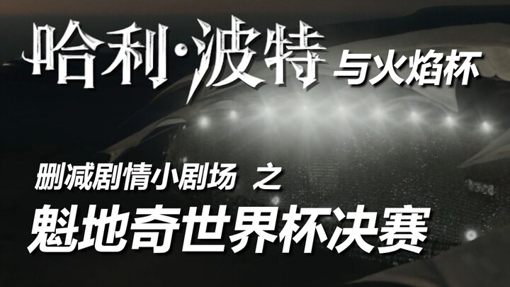 【HP小剧场】《哈利波特与火焰杯》删减剧情之魁地奇决赛！还原原著第八章！