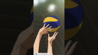 Haikyuu in Real life.