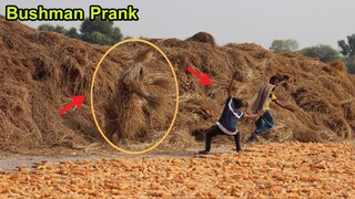 BEST OF Fails BUSHMAN Prank Compilation 2022 | Fainted Reaction Real Funniest Video 😃😅