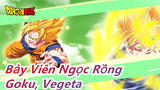 [Bảy Viên Ngọc Rồng/Beat-synced] Những trận đấu bùng nổ - Goku, Vegeta của tôi đến rồi đầy