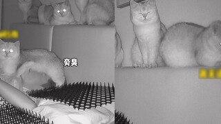 The man was always short of breath when sleeping in the middle of the night. He checked the surveill