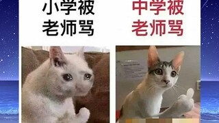 当我小学跟中学被老师骂(´･ᴗ･`)搞笑沙雕图