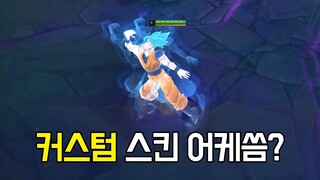 커스텀 스킨 적용 방법