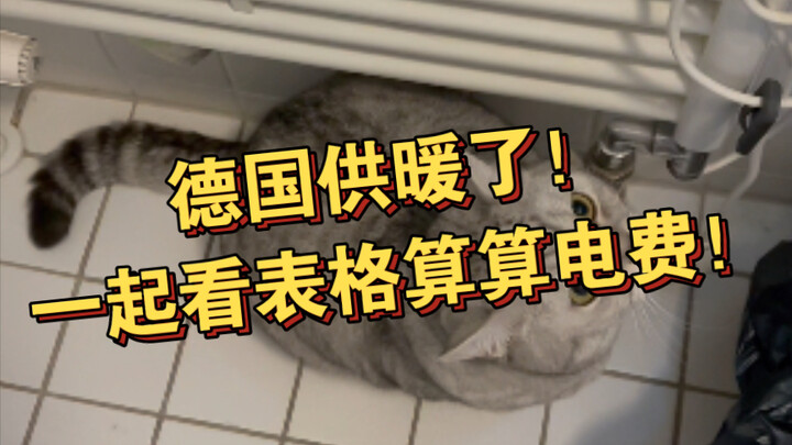 ألمانيا بدأت التدفئة الآن～ اليوم سنتعرف معًا على البيانات ونحسب فاتورة الكهرباء～