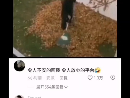 让人放心的视角