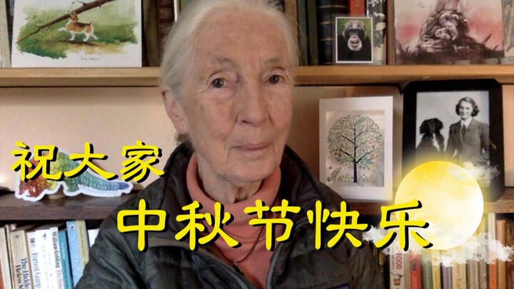 【เจน กูดอลล์】ขอให้ทุกคนสุขสันต์วันไหว้พระจันทร์