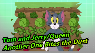 [Tom and Jerry/Queen]Another One Bites the Dust (Tom bit the dust again)