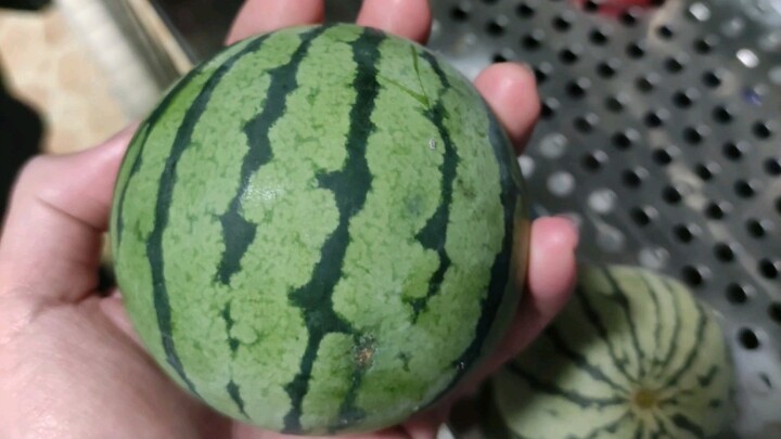 ชีวิตของแตงโมบนระเบียง