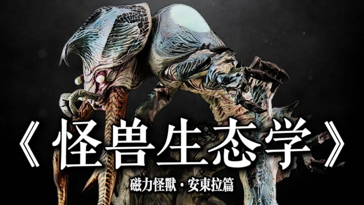 【怪兽生态学·网课】安东拉部分（课程录屏）
