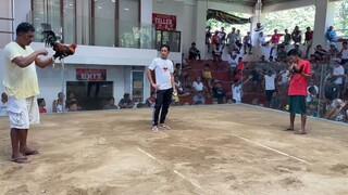Malaki ang ulo, matalino