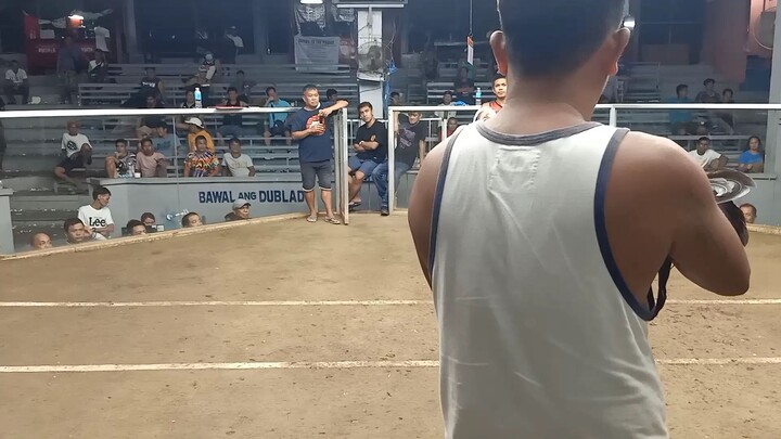 sicret white RNB Backyard