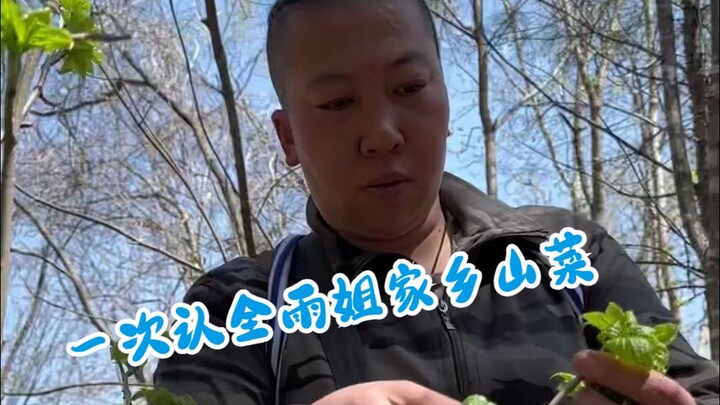 لا أستبدل طعام الجبال واللحوم الكبيرة بغيرها، الأخت يو تعرّفك على كل أنواع خضروات الجبال من مسقط رأس