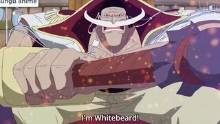 Hỏi Đáp One Piece 1 Zeus Sẽ Ra Sao Nếu Big Mom Chết Garp Tới Wano Shanks Với Râu Đen p9
