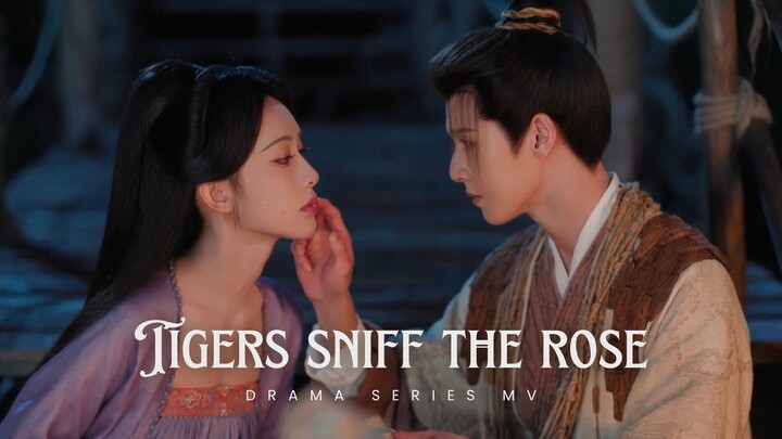 Tigers Sniff the Rose (2026) Episode 1 - Kedekatan Mu Wanyao dan Yang Shang