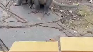 Ketika seorang tiktoker meninggalkan masakanya selama 15 untuk ke kamar mandi .