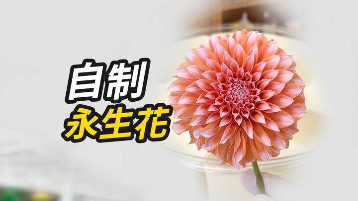 Can you make everlasting flowers using desiccant packets from snacks?