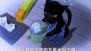 小白猫会双腿站立就爆红网络，却不知大黑猫已经学会了洗衣服做饭
