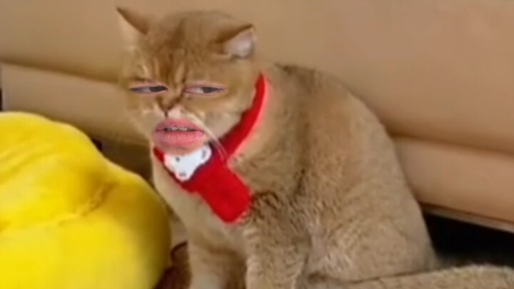 Bị lạc