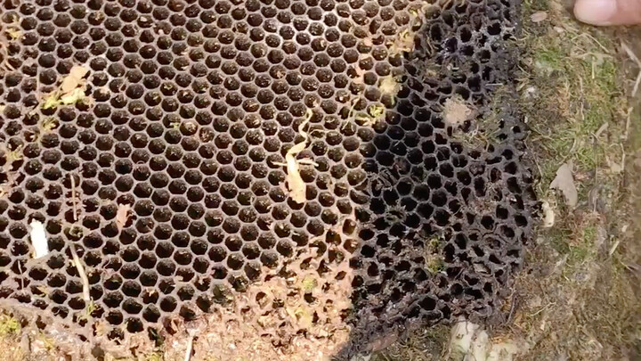 تعرّف على اللعبة الجديدة