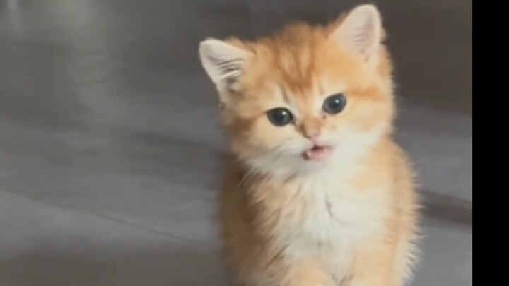 เธอน่ารักและเรียบร้อยจริงๆ