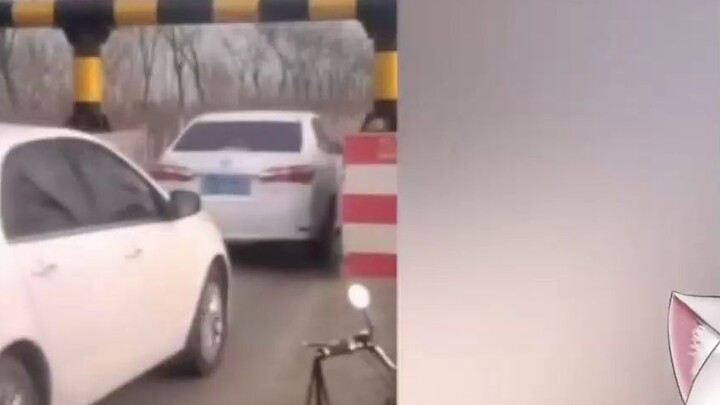 Japanese white cats watch "This is Wuling Hongguang!": Awesome!