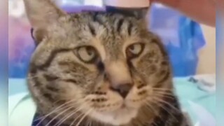 รวมคลิปขำๆ