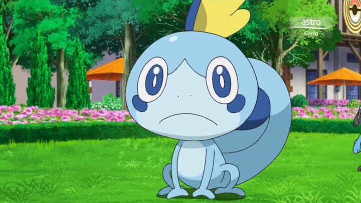 Pokemon Journeys Episode 28 Malay dub