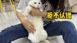 It was raining heavily in Wuhan. My cat rolled in the mud and my mother went crazy.