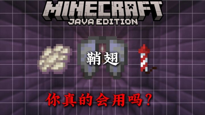 4 Minutes to Teach You Everything About MC Beetle Wings!!