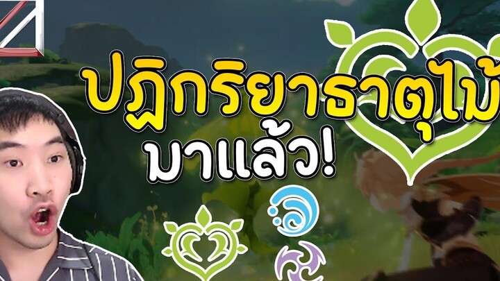 คลิปปฏิกริยาใหม่ธาตุไม้มาแล้ววว น้ำจิ้มแพทช์ใหม่ 30 Sumeru Genshin Impact Lakoi Play