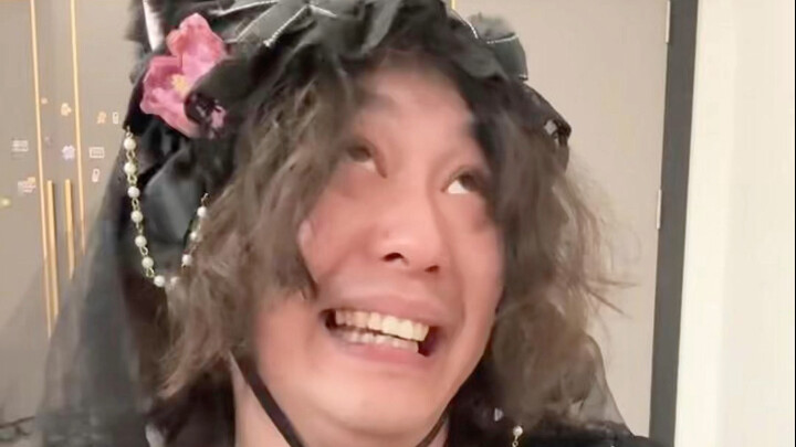 أنا قطة برية مثيرة صغيرة～